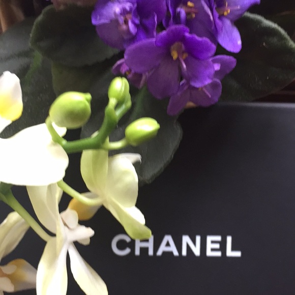 CHANEL Accessories - Chanel Box